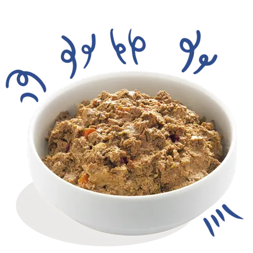 Edgard & Cooper Edgard & Cooper - Zalm & Kalkoen - Natvoer