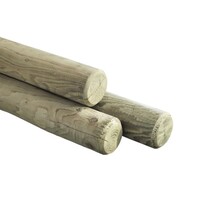 Celfix 300 / 10