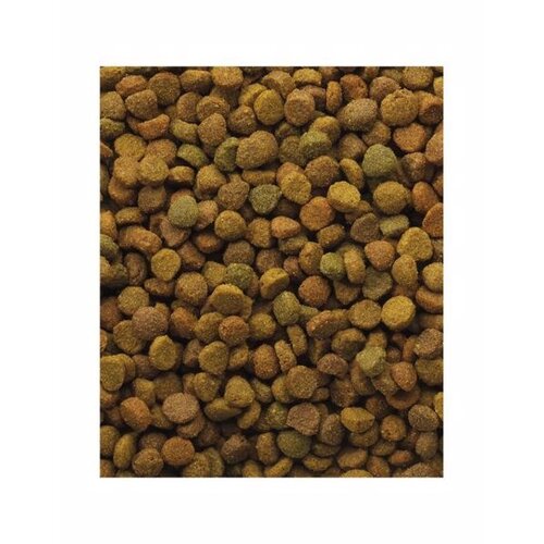 Versele-Laga Versele Laga - Kattenbrok 10kg. Versele-Laga Versele Laga - Kattenbrok 10kg.