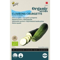 Organic Courgette Ola Escaladora