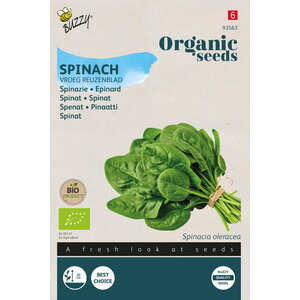 Buzzy Organic Spinazie Vroeg Reuzenblad (BIO)