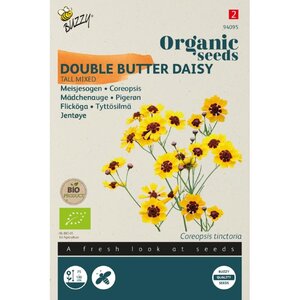 Buzzy Organic Meisjesogen Coreopsis (BIO)
