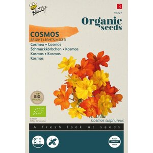 Buzzy Organic Cosmos Bright Light Mix (BIO)