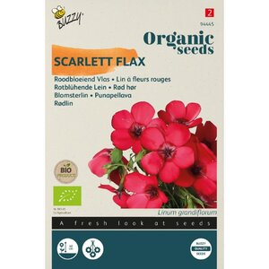 Buzzy Organic Vlas Roodbloeiend - Linum Grandiflorum