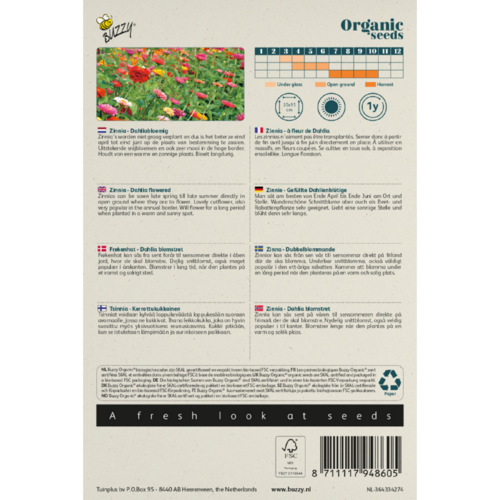 Buzzy Organic Zinnia Elegans - Dubbele Dahliabloemige Mix - Buzzy Organic (BIO)