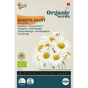 Buzzy Organic Chrysanthemum Margriet May Queen (BIO)