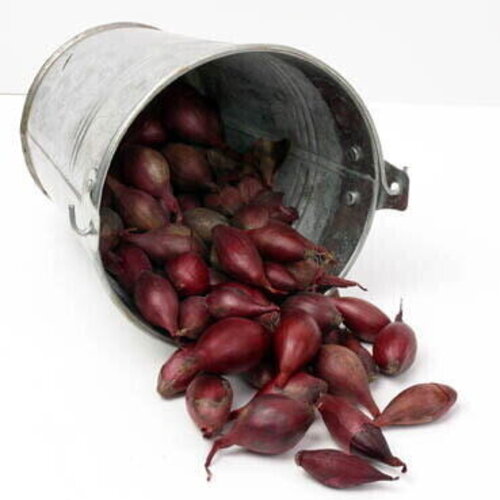 De Landwinkel Red Baron - Biologisch - Plantuien