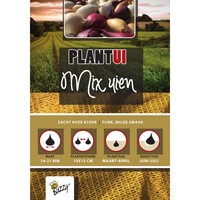 Golden Gourmet - Plantsjalotten