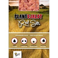 Red Sun - Plantsjalotten