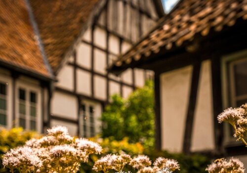 Buitenleven Buitenleven