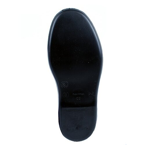 Dunlop Dunlop - Acifort Biosecure Desinfectie Kuitlaars - Groen Dunlop Dunlop - Acifort Biosecure Desinfectie Kuitlaars - Groen