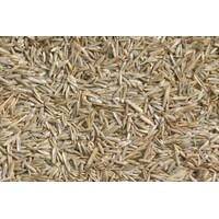 Graszaad - Sport / Speel 1kg.