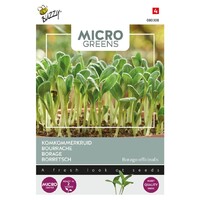 Borage - Microgreens