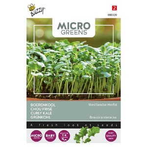 Buzzy Organic Boerenkool - Microgreens