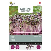 Radijs Rood - Microgreens