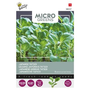 Buzzy Organic Tatsoi