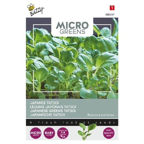 Buzzy Organic Tatsoi
