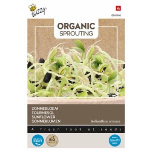 Buzzy Organic Zonnebloem - Organic Sprouting