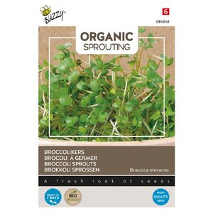 Buzzy Organic Broccolikers