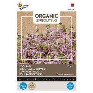 Buzzy Organic Koolrabi - Organic Sprouting