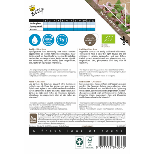 Buzzy Organic Radijs China Rose - Organic Sprouting
