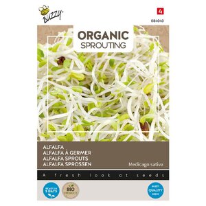Buzzy Organic Alfalfa - Organic Sprouting
