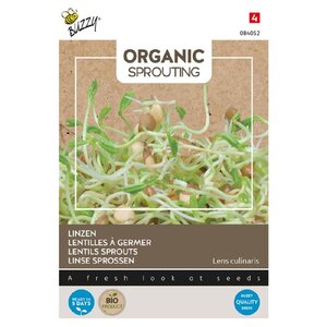 Buzzy Organic Linzen - Organic Sprouting