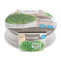 Glazen Bowl - Organic Sprouting