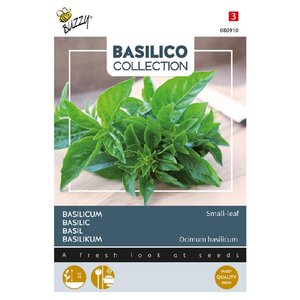 Buzzy Organic A Piccole Foglie - Basilicum - Basilico