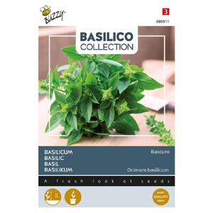 Buzzy Organic Bascuro - Basilicum