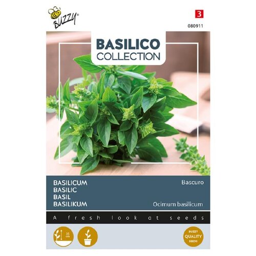 Buzzy Organic Bascuro - Basilicum