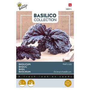 Buzzy Organic Red Lettuce / Leaved - Basilicum - Basilico