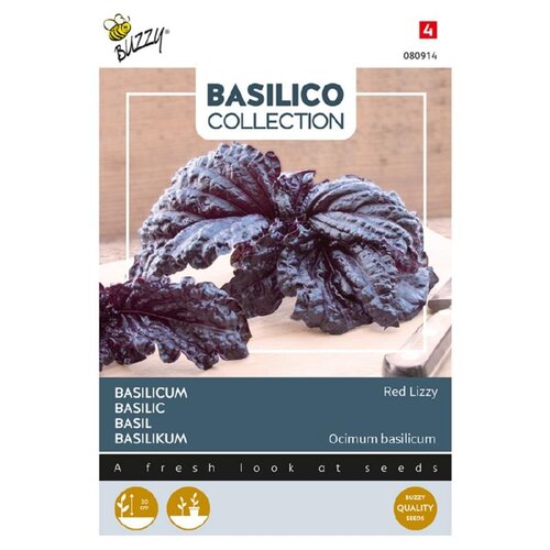 Buzzy Organic Red Lettuce / Leaved - Basilicum