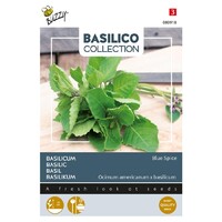 Blue Spice - Basilicum