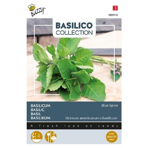 Buzzy Organic Blue Spice - Basilicum