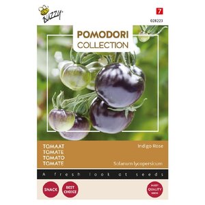 Buzzy Organic Indigo Rose Zwart - Tomaat - Pomodori