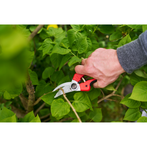 Felco Felco 171 L - Snoeischaar