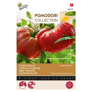 Buzzy Organic Bistecca F1 - Tomaat - Pomodori