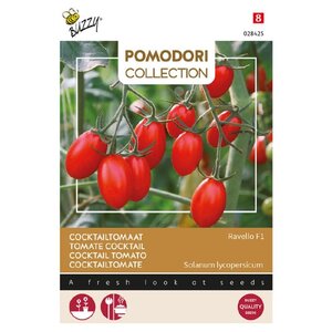 Buzzy Organic Ravello F1 - Tomaat - Pomodori