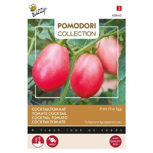 Buzzy Organic Pink Thai Egg - Tomaat