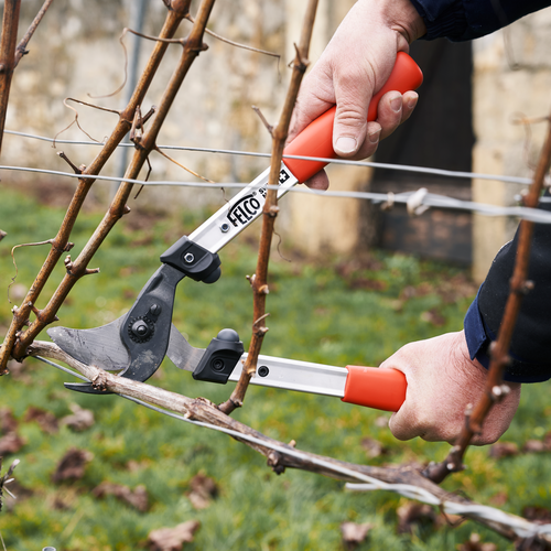 Felco Felco 211-40 - Takkenschaar