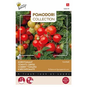 Buzzy Organic Tomfall - Tomaat - Pomodori
