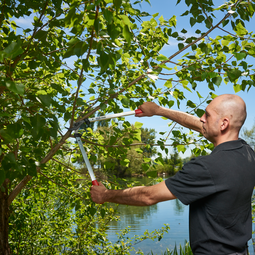Felco Felco 211-60 - Takkenschaar
