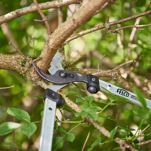 Felco Felco 211-60 - Takkenschaar