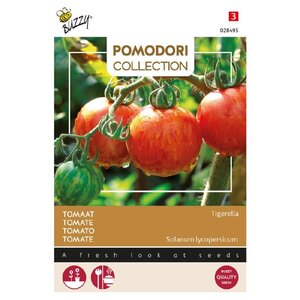 Buzzy Organic Tigerella - Tomaat - Pomodori