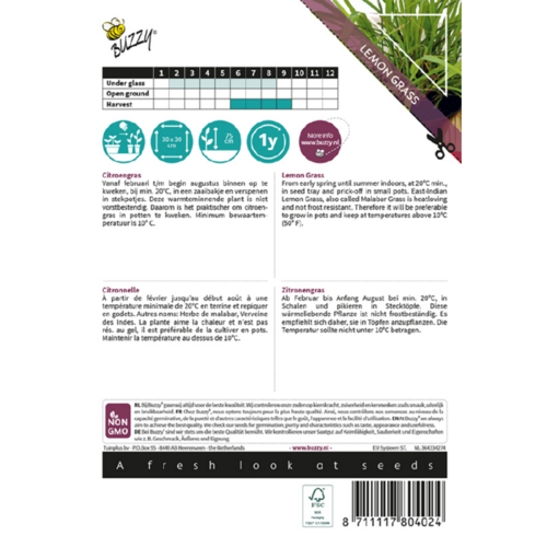 Buzzy Organic Citroengras - Xotica - Exotische Groenten