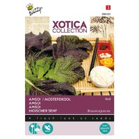 Rode Amsoi / Mosterdkool - Xotica