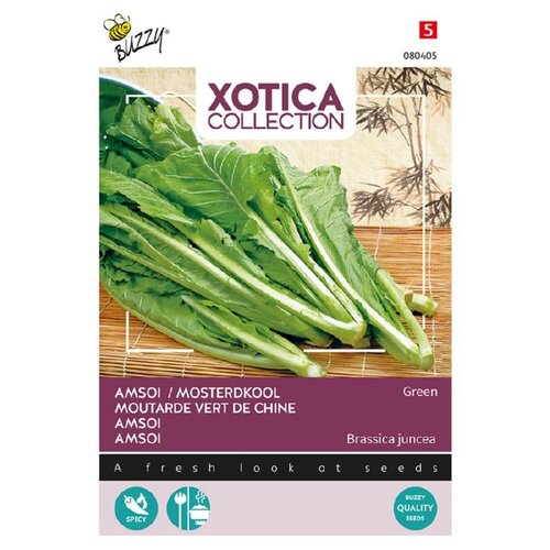 Buzzy Organic Groene Amsoi / Mosterdkool - Xotica