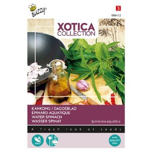 Buzzy Organic Kankong of Dagoeblad - Xotica - Exotische Groenten