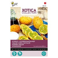 Kiwano of Hoornmeloen - Xotica